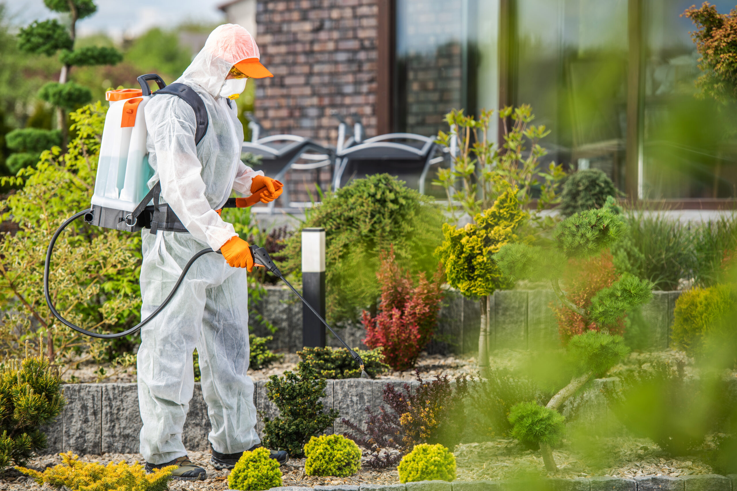 Pest control technician spraying plants with eco-safe treatment in Cape Town