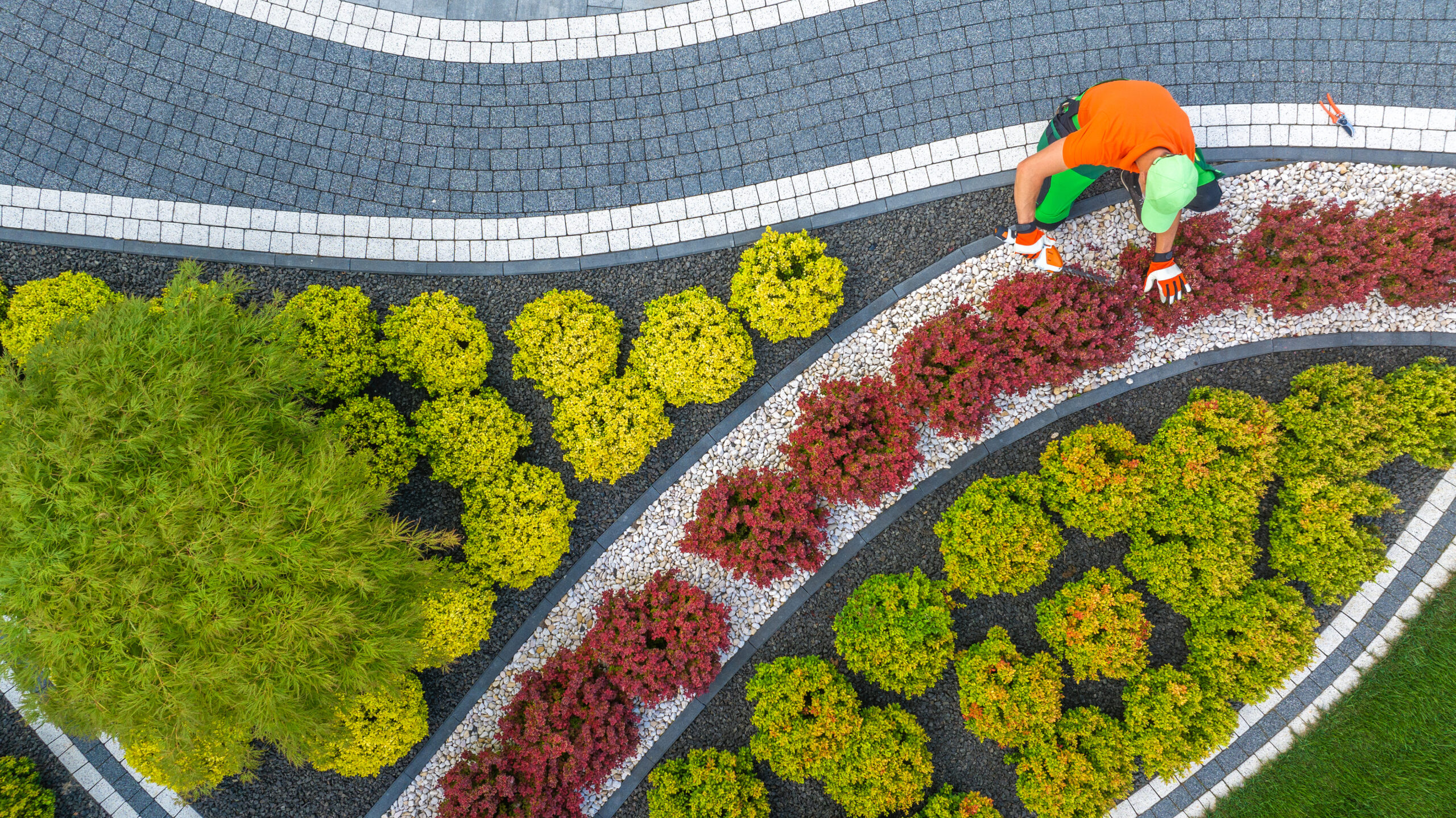 Garden landscaping and maintenance service in Cape Town using irrigatio